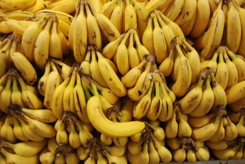 Muda de banana
